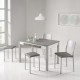 Mesa Delta laminado Fija